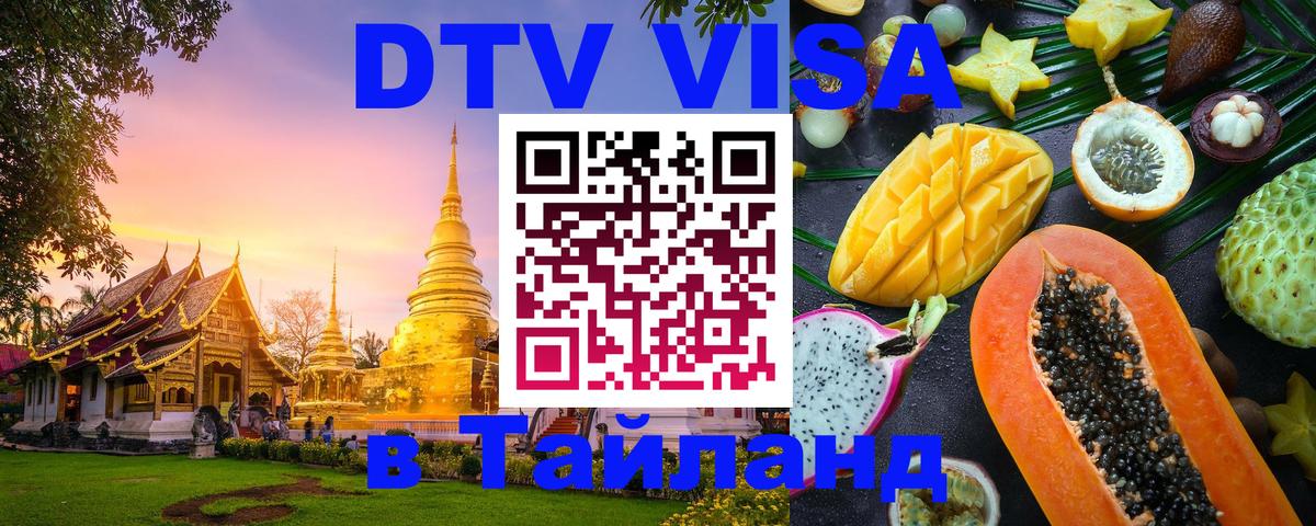 Оформление DTV визы под ключ: стоимость и тарифы, только загранпаспорт - 19.11.2025 